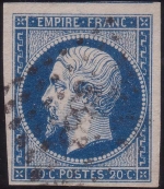 n°14A variété Suarnet n°16